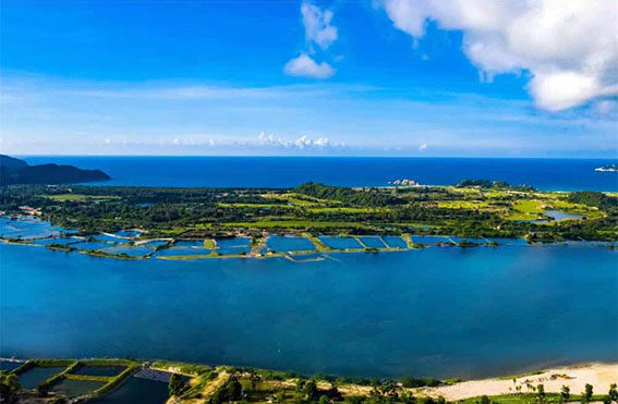 恒大双海湾实景图