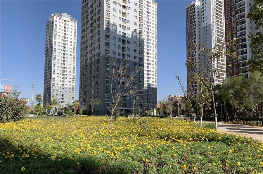 春漫时光实景图
