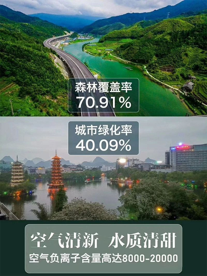 地王国际.jpg