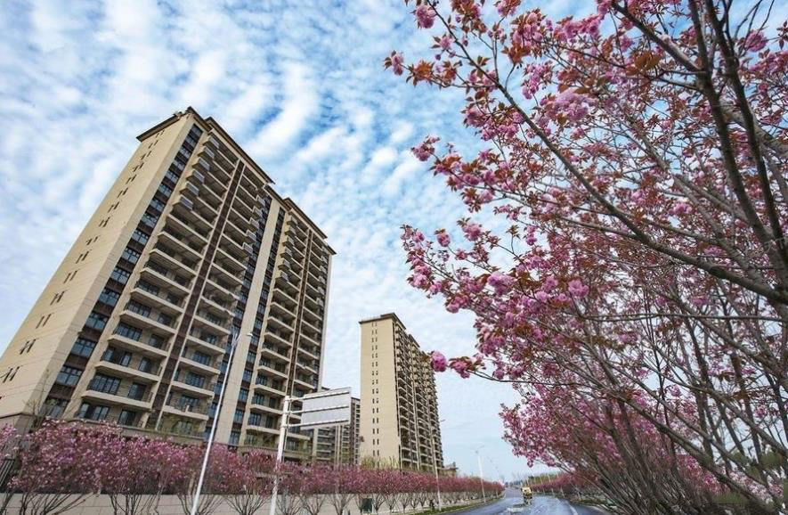 碧桂园柏悦华府实景图