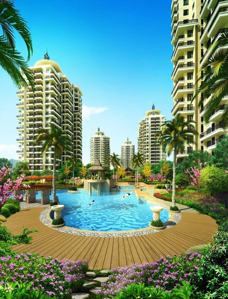 海的理想效果图