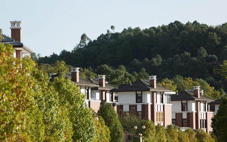 温泉山谷实景图