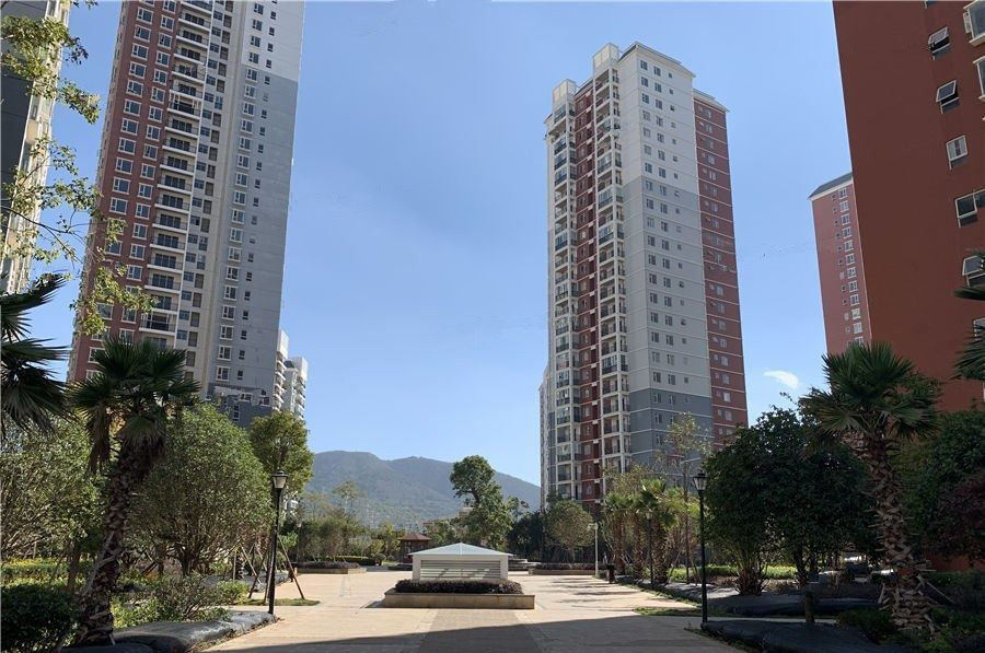 春漫时光实景图