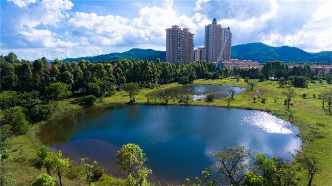 锦绣海湾城实景图